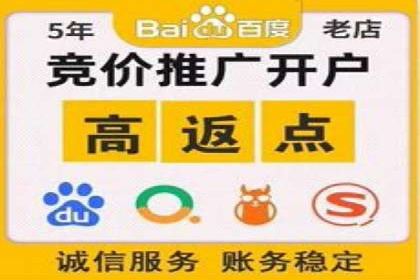 SEM代理服务：案例分享，效果显著